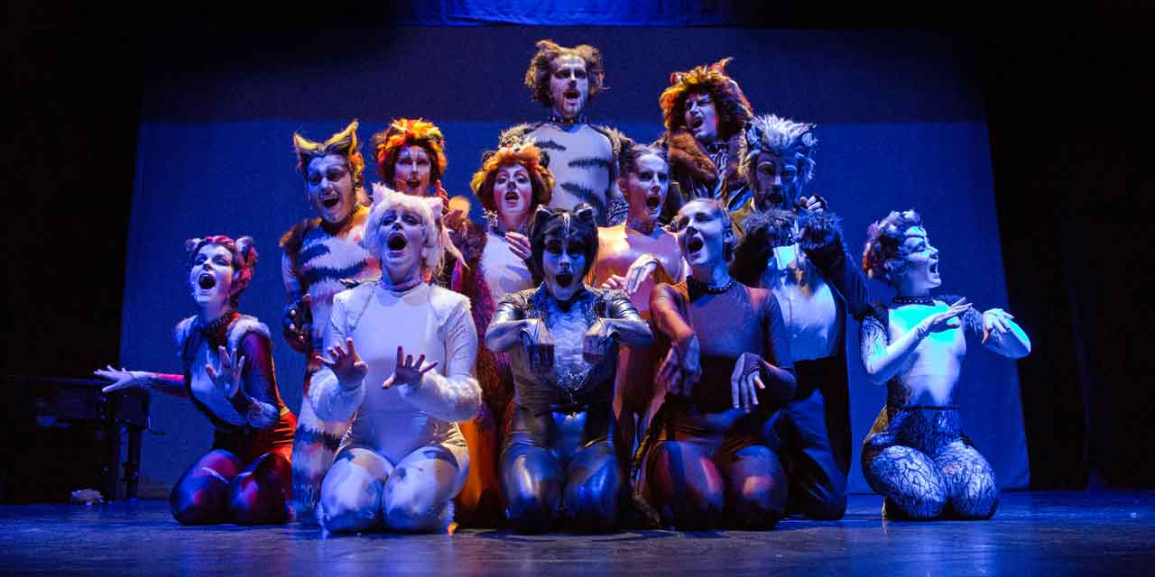 Cats, il musical